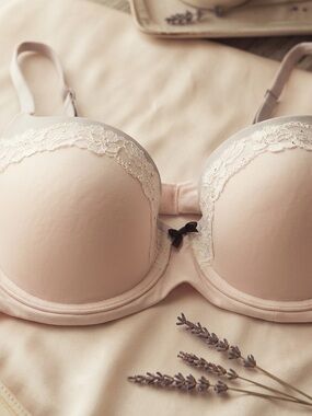 Victoria’s Secret Body by Victoria Lined Demi Bustle SZ 38C Light Pink & Gray